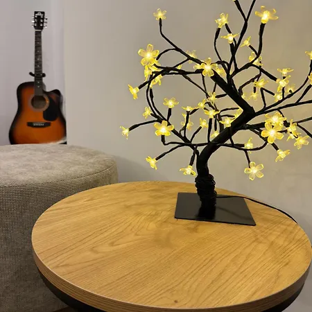 Harmony Heaven In City Center *